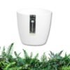 empaty-pot-1