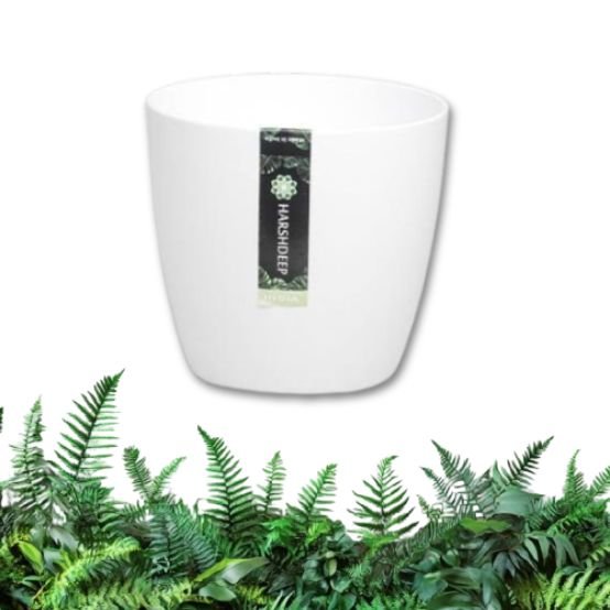 empaty-pot-1