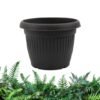 empaty-pot-10