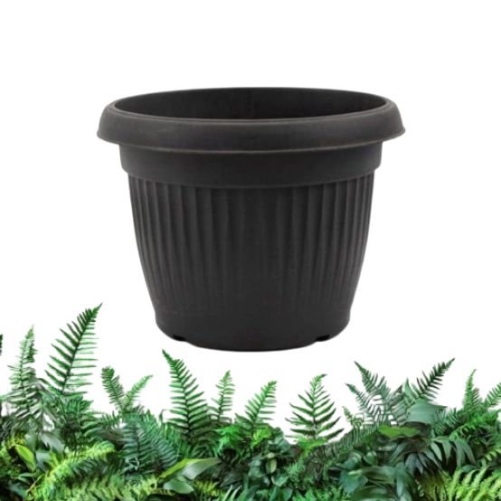 empaty-pot-10