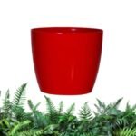empaty-pot-2