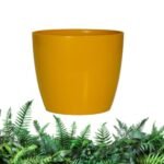 empaty-pot-4