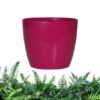 empaty-pot-5