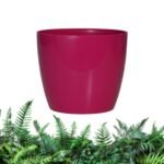 empaty-pot-5