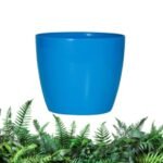 empaty-pot-6