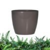empaty-pot-7