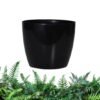 empaty-pot-8