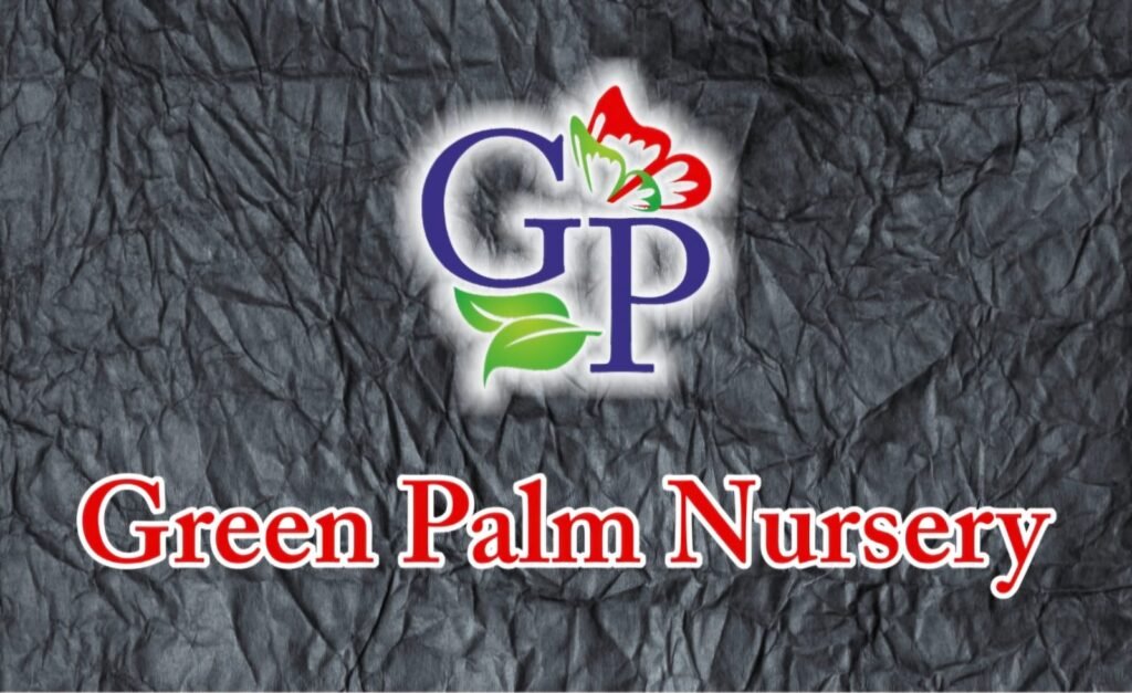 best nursery in india